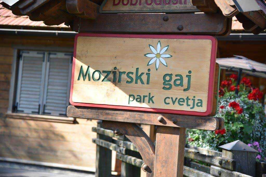 Izlet po Savinjski dolini in mednarodni dan gluhih 2019