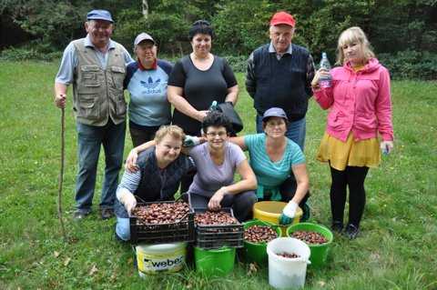 Kostanjev piknik 2015 – Moravske Toplice