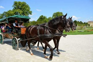Izlet Dunaj - Bratislava - 224