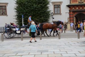 Izlet Dunaj - Bratislava - 317