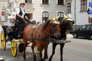 Izlet Dunaj - Bratislava - 318