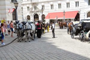 Izlet Dunaj - Bratislava - 329