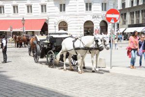 Izlet Dunaj - Bratislava - 330