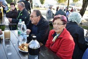 Kostanjev piknik 2018 05
