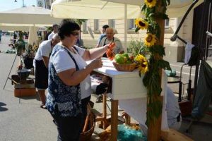Bogracfest 2015 Lendava - 032