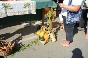 Bogracfest 2015 Lendava - 034