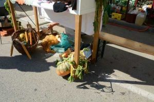 Bogracfest 2015 Lendava - 036