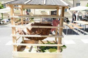 Bogracfest 2015 Lendava - 058