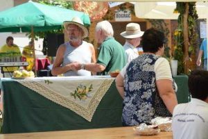 Bogracfest 2015 Lendava - 076