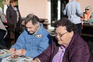 Kostanjev piknik 2016 - 003