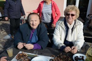 Kostanjev piknik 2016 - 011