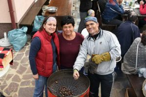 Kostanjev piknik 2017 - 043