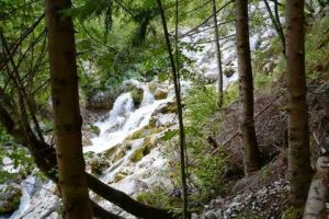 Posocje in Mednarodni dan gluhih v Novi Gorici 2013 - 045