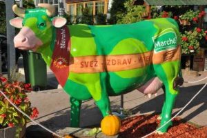 Utrinki z Mednarodnega dneva gluhih Posavje – Krško 2012 - 024 Utrinki z Mednarodnega dneva gluhih Posavje – Krško 2012 - 024