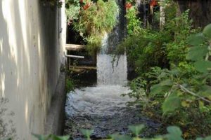 Utrinki z Mednarodnega dneva gluhih Posavje – Krško 2012 - 042 Utrinki z Mednarodnega dneva gluhih Posavje – Krško 2012 - 042