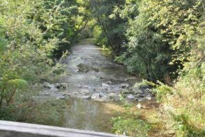 Utrinki z Mednarodnega dneva gluhih Posavje – Krško 2012 - 047 Utrinki z Mednarodnega dneva gluhih Posavje – Krško 2012 - 047
