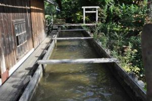 Utrinki z Mednarodnega dneva gluhih Posavje – Krško 2012 - 052 Utrinki z Mednarodnega dneva gluhih Posavje – Krško 2012 - 052